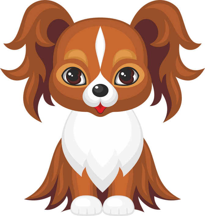 Papillon Dog